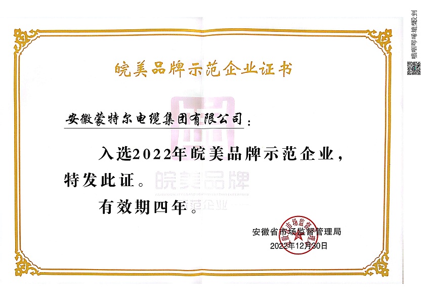 皖美品牌示范企業(yè)證書