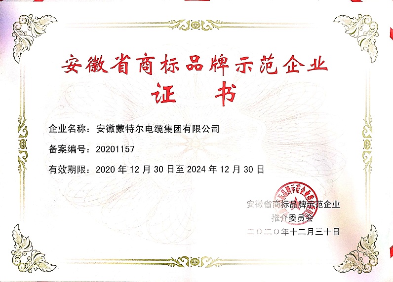 安徽省商標(biāo)品牌示范企業(yè)認(rèn)證證書